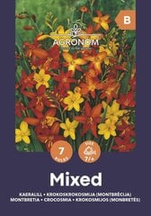 Krokosmijos Mix цена и информация | Луковицы цветов | pigu.lt