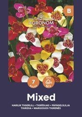 Margosios tigrenės Mix цена и информация | Луковицы цветов | pigu.lt