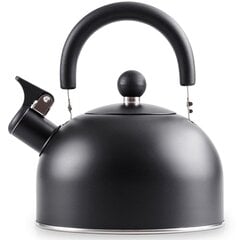 Чайник из черной стали со свистком, 2 л цена и информация | Чайники, кофейники | pigu.lt