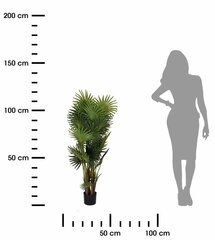 декоративная пальма 130 см цена и информация | Искусственные цветы | pigu.lt