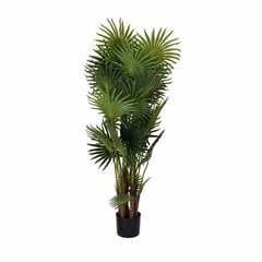 декоративная пальма 130 см цена и информация | Искусственные цветы | pigu.lt