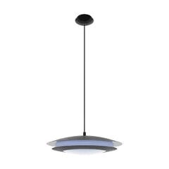 Eglo подвесной светильник Moneva-C 96979 цена и информация | Люстры | pigu.lt