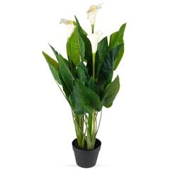 Dirbtinis augalas vazone Spatifilis kaina ir informacija | Dirbtinės gėlės | pigu.lt