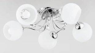 Alfa lubinis šviestuvas Livia Pro цена и информация | Потолочные светильники | pigu.lt