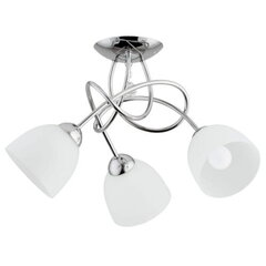 Потолочный светильник Alfa Balena цена и информация | Потолочные светильники | pigu.lt