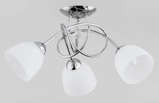 Потолочный светильник Alfa Modena цена и информация | Потолочные светильники | pigu.lt