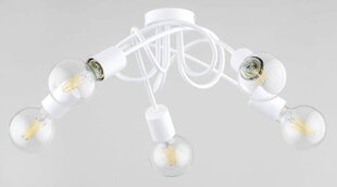 Потолочный светильник Alfa Inter цена и информация | Потолочные светильники | pigu.lt