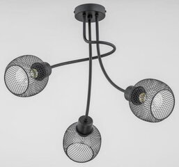 Потолочный светильник Alfa Plena Duo цена и информация | Потолочные светильники | pigu.lt