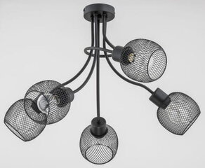 Потолочный светильник Alfa Plena Duo цена и информация | Потолочные светильники | pigu.lt