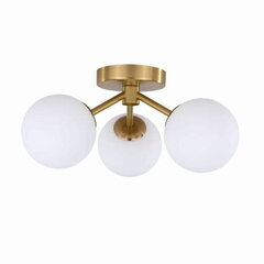 Light Prestige светильник на потолок Dorado цена и информация | Потолочные светильники | pigu.lt