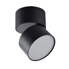 Berella Light потолочный светильник Rotu цена и информация | Потолочные светильники | pigu.lt