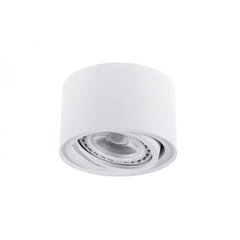 Berella Light потолочный светильник Eri цена и информация | Потолочные светильники | pigu.lt