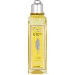 Dušo želė L'occitane Verbena Citrus, 250 ml kaina ir informacija | Dušo želė, aliejai | pigu.lt