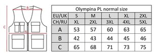 Liemenė vyrams Olympina, pilka kaina ir informacija | Vyriškos liemenės | pigu.lt