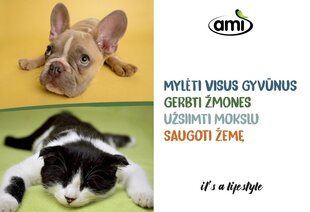Полнорационный сухой корм AMI CAT для взрослых кошек, 300 г. цена и информация | Сухой корм для кошек | pigu.lt