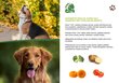 Ami Orange suaugusiems šunims su molūgais ir saldžiosiomis bulvėmis, 400g kaina ir informacija | Konservai šunims | pigu.lt