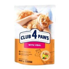 Club 4 Paws Premium suaugusioms katėms su veršiena, 900 g цена и информация | Сухой корм для кошек | pigu.lt