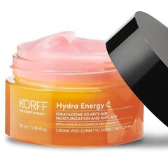 Увлажняющий и укрепляющий крем для лица Korff Hydra Energy C, 50 мл цена и информация | Кремы для лица | pigu.lt