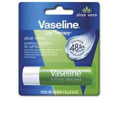 Lūpų balzamas Vaseline Aloe Vera Lip Care, 4.8 g цена и информация | Помады, бальзамы, блеск для губ | pigu.lt