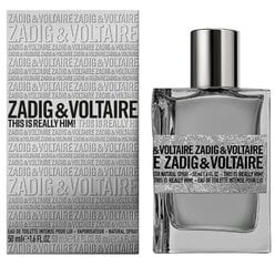 Tualetinis vanduo Zadig & Voltaire This Is Really Him! EDT vyrams, 100 ml kaina ir informacija | Kvepalai moterims | pigu.lt