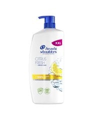 Plaukų šampūnas Head&Shoulders Citrus Fresh, 800 ml цена и информация | Шампуни | pigu.lt