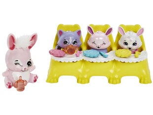 Lėlė Enchantimals Bree Bunny Twist kaina ir informacija | Žaislai mergaitėms | pigu.lt