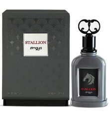 Kvapusis vanduo Stallion Zimaya EDP vyrams, 100 ml kaina ir informacija | Kvepalai vyrams | pigu.lt