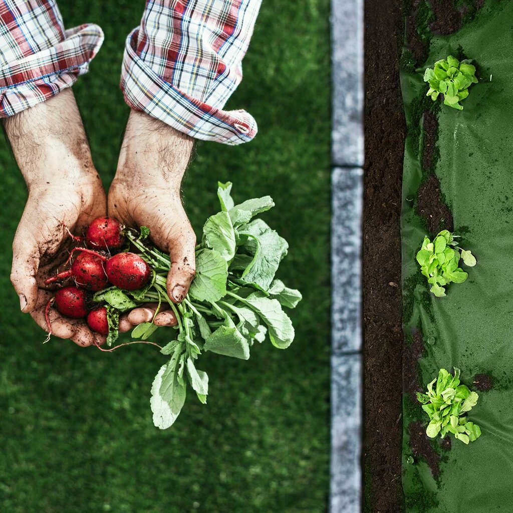 Agrotekstilinis sodo audinys su smeigtukais, 1,6x50 m, žalias kaina ir informacija | Sodo įrankiai | pigu.lt