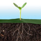 Agrotekstilinis sodo audinys su smeigtukais, 1,6x50 m, žalias kaina ir informacija | Sodo įrankiai | pigu.lt