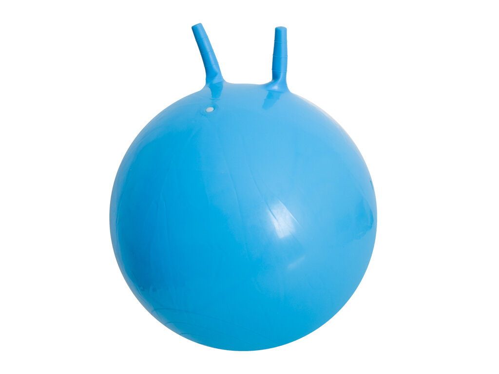 Šokinėjimo kamuolys, 65 cm., mėlynas kaina ir informacija | Vandens, smėlio ir paplūdimio žaislai | pigu.lt