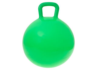 Šokinėjimo kamuolys, 45 cm., žalias kaina ir informacija | Vandens, smėlio ir paplūdimio žaislai | pigu.lt