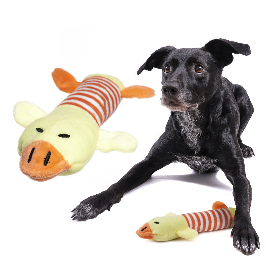 Šuns kramtomasis žaislas, 22.5 cm kaina ir informacija | Žaislai šunims | pigu.lt