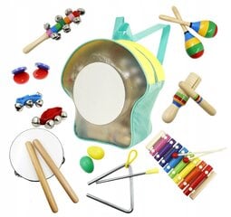 Набор из 10 музыкальных инструментов с рюкзаком цена и информация | Развивающие игрушки | pigu.lt