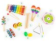 Muzikinių instrumentų rinkinys su krepšiu Ecotoys, 14 d. kaina ir informacija | Lavinamieji žaislai | pigu.lt
