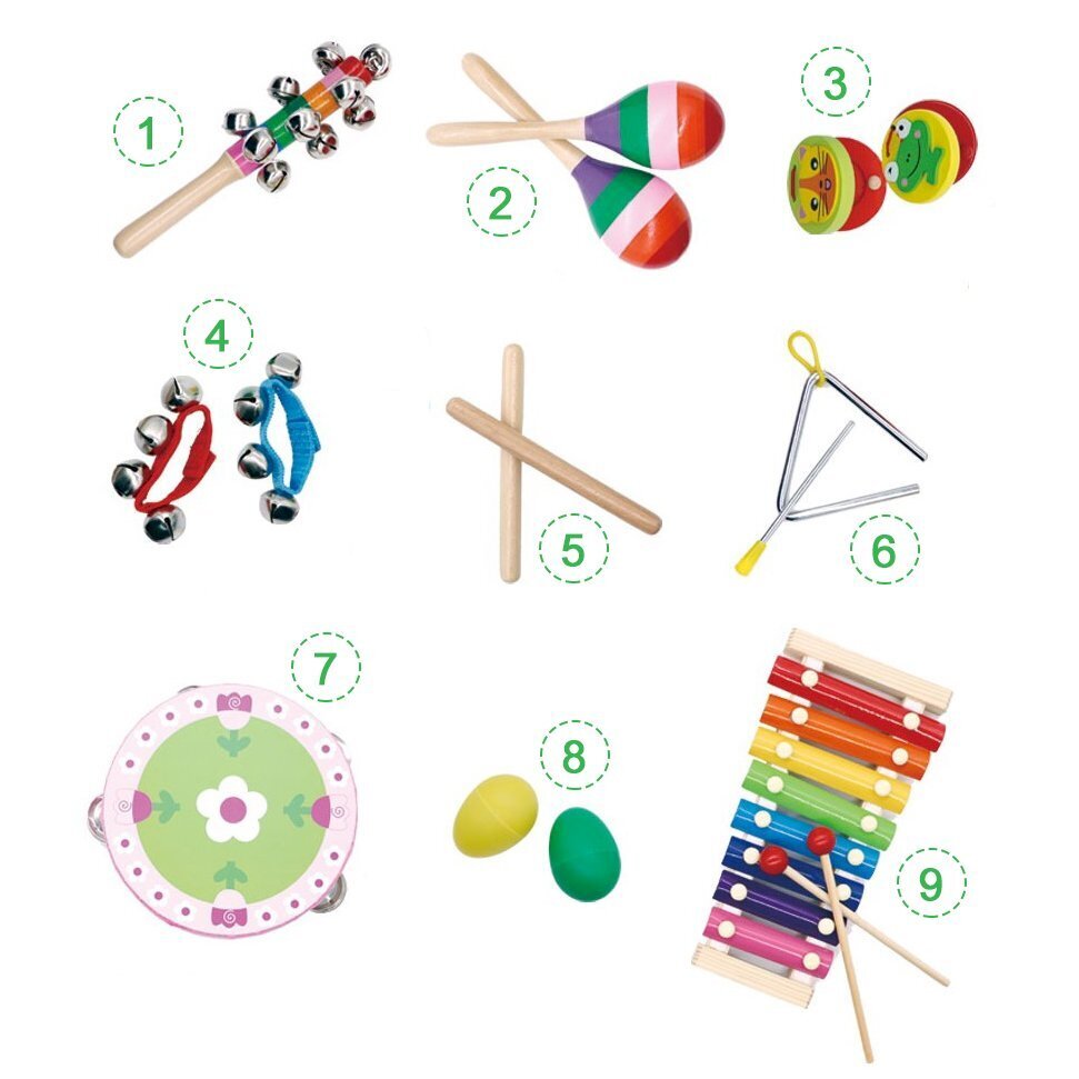 Muzikinių instrumentų rinkinys su krepšiu Ecotoys, 14 d. kaina ir informacija | Lavinamieji žaislai | pigu.lt
