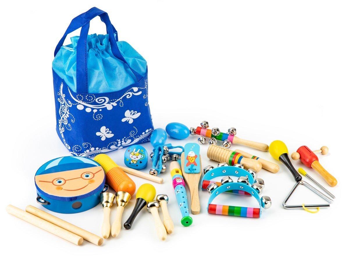 Medinių muzikos instrumentų rinkinys Ecotoys su krepšiu, 16 d. kaina ir informacija | Lavinamieji žaislai | pigu.lt