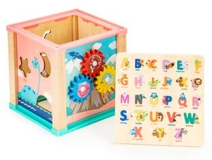 Деревянный развивающий кубик Ecotoys, бирюзовый цена и информация | Развивающие игрушки | pigu.lt