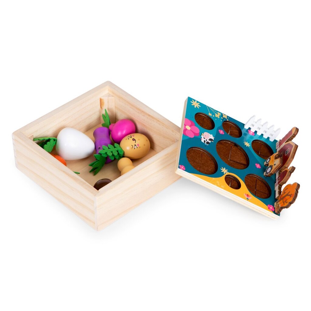 Žaislinė ūkininkavimo lysvė su daržovėmis Ecotoys, 8 d. kaina ir informacija | Žaislai mergaitėms | pigu.lt