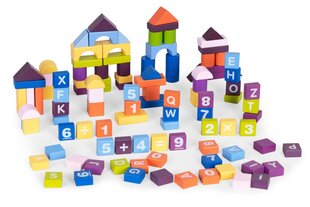 Деревянные развивающие блоки Ecotoys, 108 шт. цена и информация | Конструкторы и кубики | pigu.lt