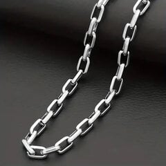 Серебряная цепочка с кулоном цена и информация | Мужские украшения | pigu.lt