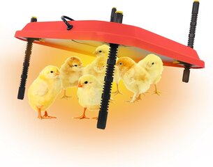 Нагревательная пластина для цыплят Eachbid, 40.6cм x 40.6cм цена и информация | Товары для сельскохозяйственных животных | pigu.lt