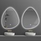 LED sieninis veidrodis Rock, sidabrinis цена и информация | Vonios veidrodžiai | pigu.lt