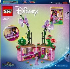 43237 LEGO® Disney Princess Цветочный горшок Изабеллы цена и информация | Конструкторы и кубики | pigu.lt