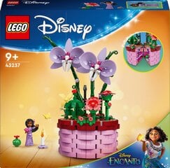 43237 LEGO® Disney Princess Izabelės gėlių vazonas kaina ir informacija | Konstruktoriai ir kaladėlės | pigu.lt