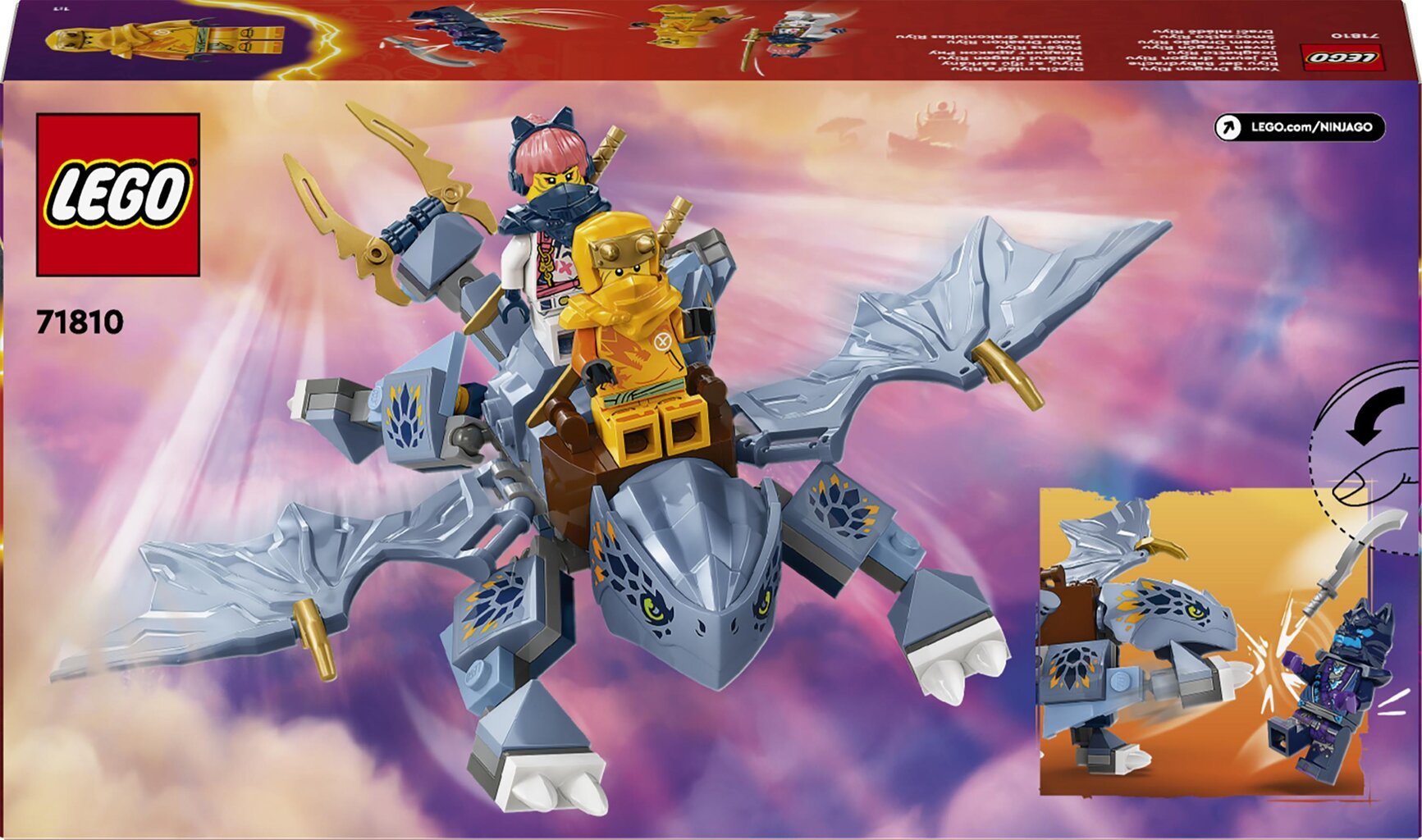 71810 LEGO® Ninjago Jaunasis drakoniukas Riyu цена и информация | Konstruktoriai ir kaladėlės | pigu.lt