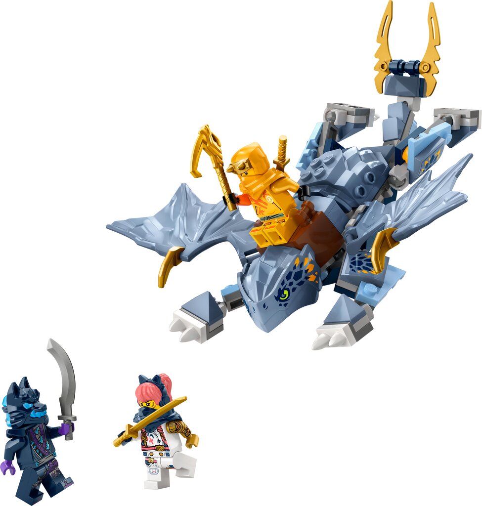 71810 LEGO® Ninjago Jaunasis drakoniukas Riyu цена и информация | Konstruktoriai ir kaladėlės | pigu.lt