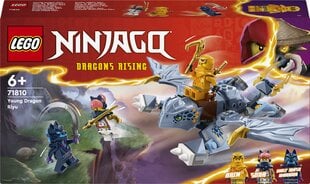 71810 LEGO® Ninjago Молодой дракон Riyu цена и информация | Конструкторы и кубики | pigu.lt