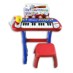 Vaikiško pianino rinkinys Bontempi kaina ir informacija | Lavinamieji žaislai | pigu.lt