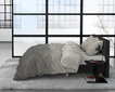 Patalynės komplektas Celsey Dreamhouse 200 x 220 cm, ruda, 100% medvilnė satinas, 3 dalys kaina ir informacija | Patalynės komplektai | pigu.lt