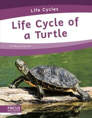 Life Cycles: Life Cycle of a Turtle цена и информация | Книги для подростков и молодежи | pigu.lt